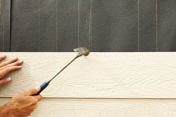 Best Composite Siding  in Woodstock, GA